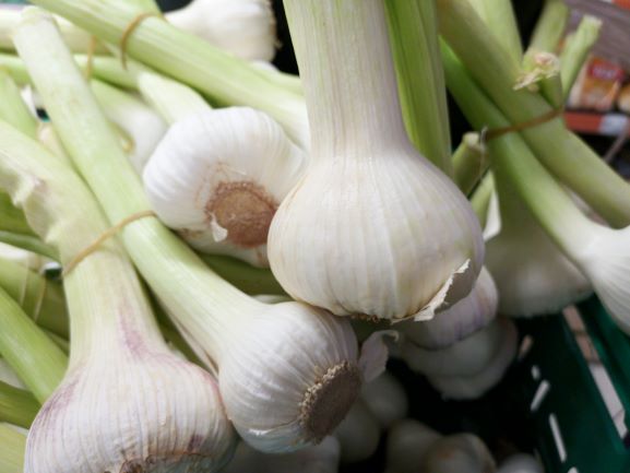 7 health benefits of garlic
