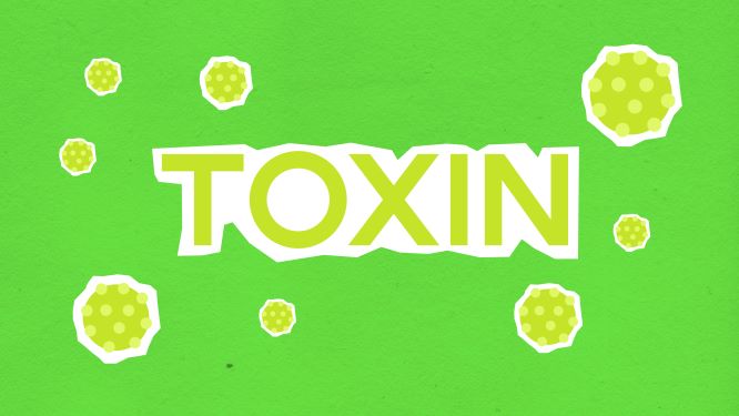 What is detoxification and how it helps you?